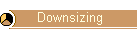 Downsizing