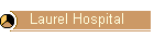 Laurel Hospital