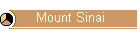 Mount Sinai