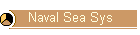 Naval Sea Sys