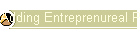 Adding Entreprenureal Punch