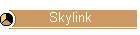Skylink
