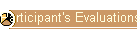 Participant's Evaluations