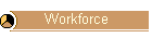 Workforce